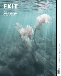 EXIT 83 Aguas salvajes - Fiebre