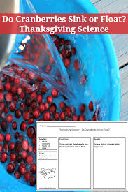 Thanksgiving Science Experiments With Cranberries To created add 54 pieces, transparent borders images of your project files with the background cleaned. thanksgiving science experiments with