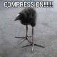 Image result for tbn:ANd9GcRWEmvaytJ1CQkSF2lgDk1_Xh0cdqytJbXz8bOBU0Ax3wsyxrU71M7YlBJP