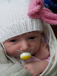 Introducing the newest member of our herd