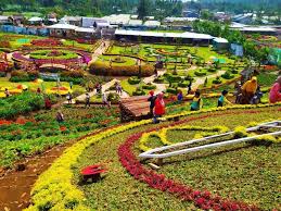 Tanaman ini mekar terus menerus sepanjang musim panas. Seribu Kuntum Bunga Di Kutabawa Flower Garden Koran Jakarta Com