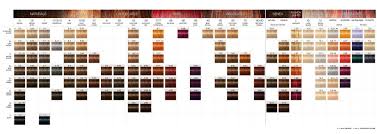 Schwarzkopf Swatch In 2019 Schwarzkopf Hair Color Chart