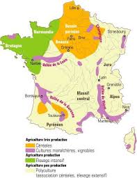 France Agricole Cereales Cultures Maraicheres Vignobles Elevage Intensif Polyculture Association Cereales Elevage Extens Geographie France Agricole Agriculture