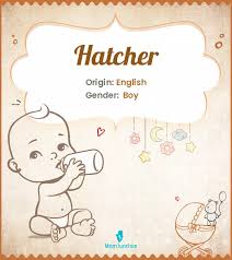 Explore Hatcher: Meaning, Origin & Popularity