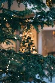 Candy cane lane kelowna bc / video: Kelowna Christmas Light Tour 2018