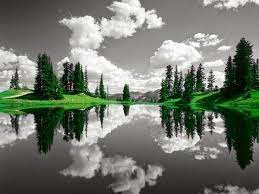 Pin By Patty Meek On Nature Color Splash Photo Splash Images Color Splash