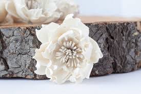 What is your wholesale discount? Wood Craft Sola Wood Craft