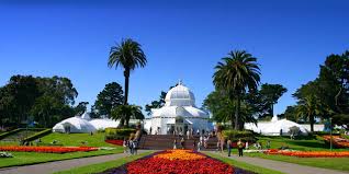 Check spelling or type a new query. San Francisco Conservatory Of Flowers Visit California