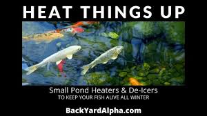 I had 30 plus 8 inch goldfish in my pond and never lost a fish. Top 5 Best Pond Heaters De Icers For Small Ponds Backyard Alpha