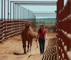 The 6666 ranch is under contract for the first time ever. 38 Work 6666 Ideas Texas Ranch Cowboy And Cowgirl Ranch