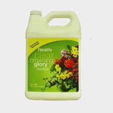 Check spelling or type a new query. Flower Food Flower Solutions Bulk Wholesale Blooms By The Box