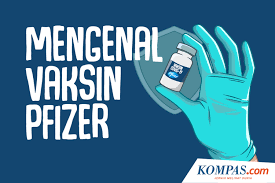 Meski berdasarkan laporan sementara vaksin pfizer tidak menimbulkan efek samping berbahaya, tidak berarti vaksin ini tidak menimbulkan efek sekali. Infografik Mengenal Vaksin Pfizer Dari Kemanjuran Melawan Covid 19 Hingga Efek Sampingnya