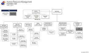 Organization Chart Human Resource Management