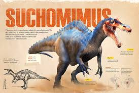 Image result for Suchomimus