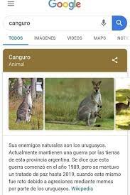 Canguros vs uruguay, parece que el internet nunca descansa, siempre hay temas de los cuales se pueden hablar, sin embargo, ¿qué es lo que hacen estas personas? Por Que Se Habla De Una Posible Invasion De Canguros Australianos A Uruguay