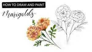 Flowers by month is a term describing flowers related to a recipient's birth month, and in general flowers associated with particular months of the. Watercolour Marigolds How To Draw And Paint October S Birth Month Flower Youtube