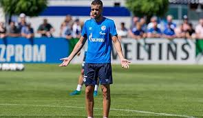 In the version of this article initially published, the name of one author was incorrect (james p. Fc Schalke 04 News Und Geruchte Remis Beim Testspielauftakt Di Santo Vor Abschied