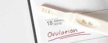 Kann ich mit einem ovulationstest eine schwangerschaft testen? Ovulationstest Funktion Anwendung Eisprung Bestimmen
