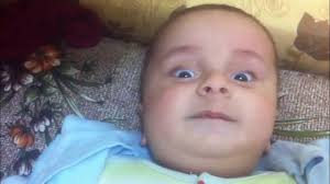 Alan Abdulkader آلان عبدالقادر