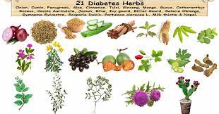 21 Diabetes Herbs To Control Blood Sugar | Diabetes Herbal Remedies