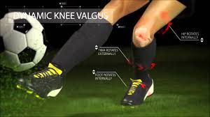 Number of anterior cruciate ligament (acl) injuries, which. Anterior Cruciate Ligament Acl Injury Youtube