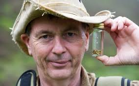 Why panning for gold is experiencing a resurgence... and how to do it