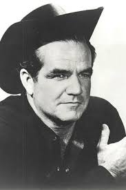 That Darn Cat! (1965)