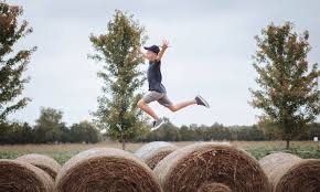 Check spelling or type a new query. Cedar Creek Farm Llc