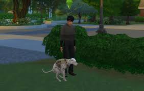 Find adopt and then select from the pets that are available. The Sims 4 Cats And Dogs Dlc Adoption Training And Care