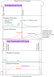 ready set chart hormones disrupted the biology behind