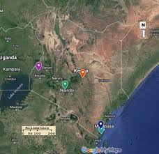 Image result for Zanthoxylum holtzianum