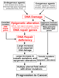 Prostate cancer among young men has increased sixfold in the past 20 years, according to a new university of michigan analysis. Carcinogenesis Wikipedia