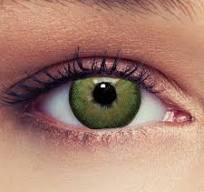 DESIGNLENSES Lenti a contatto colorate verde, 1 paio (2pz), per un aspetto  naturale - senza gradazione/diottrie - buono per occhi scuri + caso di ...