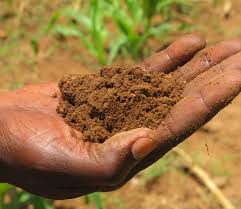 Kedua jenis tanah tersebut terdapat di daerah. Jenis Jenis Tanah Di Indonesia Dan Manfaat Di Sektor Pertanian