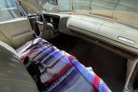 Image result for Chestnut 1973 Fury