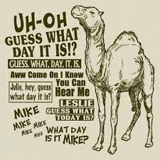 Leslie, guess what today is? Quotes About Camel 130 Quotes