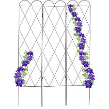Rankgitter aus metall modern / metall rankgitter b mit blumen amazon de garten : Rankgitter Metall Zu Top Preisen