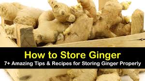 It thrives in any area having winter ground here's everything you need to know about growing asparagus, whether you start from seed or spear. 7 Brilliant Ways To Store Ginger