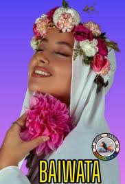 Ummu Safwan Ebooks HAUSA NOVELS