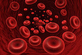 Autoimmune Hemolytic Anemia: Causes ...