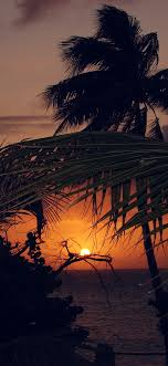 Maybe you would like to learn more about one of these? Beach Sunset Wallpaper Iphone 11 Sheikhalove Iphone Wallpaper