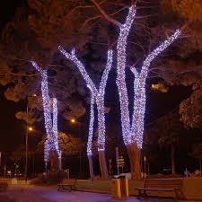 Led baummantel lichterkette fur aussen mit globes schnell montierbare lichterkette globe lichterkette grosse baume lichterkette lichterkette anbringen einfach christbaum schmucken schnell lichterkette mit warmer lichtfarbe weihnachten aktuell de. Einen Weihnachtsbaum Im Freien Schmucken Luminal Aprk