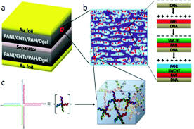 Hierarchical Nanomaterials Via Biomolecular Self Assembly And Bioinspiration For Energy And Environmental Applications Nanoscale Rsc Publishing Doi 10 1039 C9nr00218a