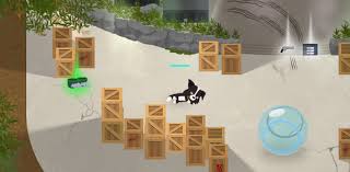 This summer, snorkeling very early in the morning in marsa egla, egypt, i. Super Animal Royale Collie S Milestone Completionist Guide Steam Lists