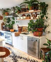 Jungle Kitchen Boho Kitchen Kitchen Decor Dining Room Inspiration