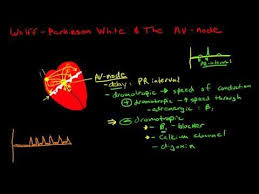 Pin On Usmle Comlex Videos