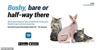 How can we detect the tests currently used to detect cancer are designed. Cervical Cancer Advert Slammed For Comparing Women S Pubic Hair To Cats Fur Newsopener