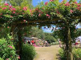 Check out their videos, sign up to chat, and join their community. Garten Sendungen Im Tv Und Web Scharnweber Garten Und Landschaftsbau