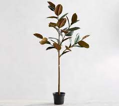 Real touch, waterproof, easily assembled perfect for home, office, commercial area, party, hotel, interior decoration and etc. Faux Variegated Rubber Tree Pottery Barn