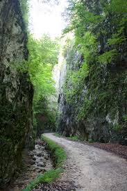 November 8, 2010 in piatra craiului. 19 Zarnesti Gorges Susan Fox
